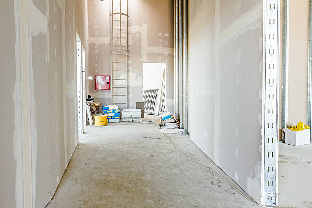 Best Drywall Sanding and Smoothing  in Lake Butler, FL